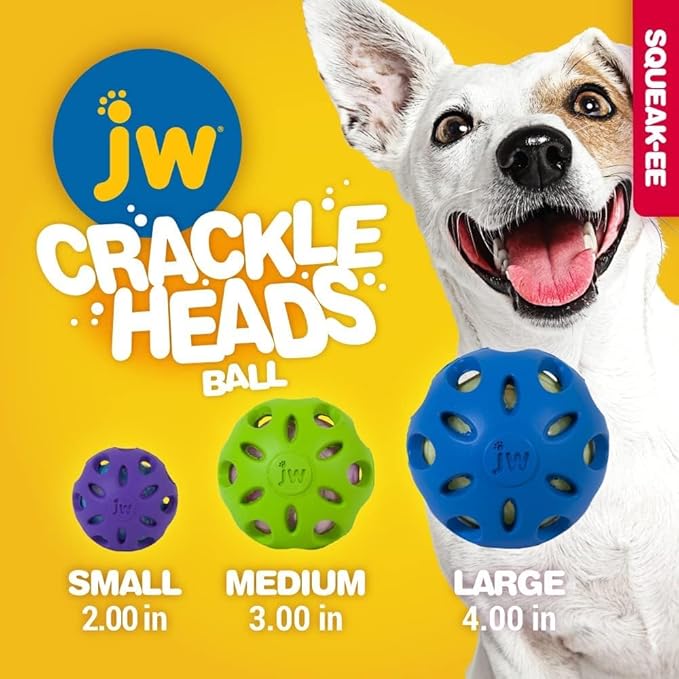 JW Pet Crackle Heads Ball Dog Toy [Set of 3] Size: Medium (8" H x 3" W x 3" L), Color: Green