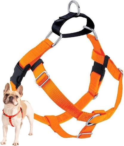 2 Hounds Design Freedom No Pull Dog Harness, Adjustable Harness, Easy Walking & Comfortable Control, Fits Small, Medium & Large Dogs, Solid Colors, Made in USA, 1" LG, Neon Organge