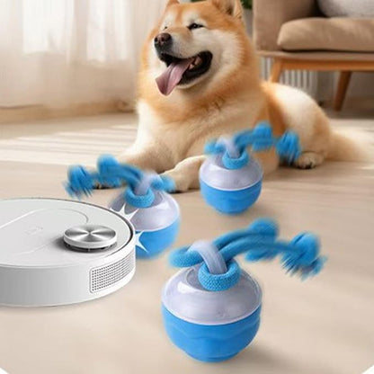 Auto Bouncing Pet Toy with Noise Maker ABS Indoor Outdoor Use for Puppy Exercise Chew Interactive Pet Ball