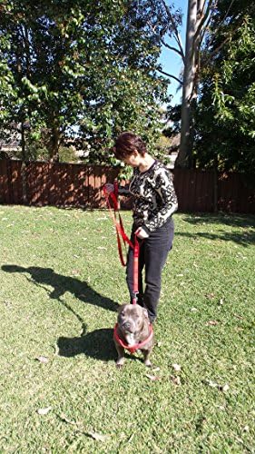 Primal Pet Gear Dog Leash 8ft Long - RED - Traffic Padded Two Handle - Heavy Duty - Double Handles Lead for Control Safety Training - Leashes for Large Dogs or Medium Dogs - Dual Handles Leads - Image 3