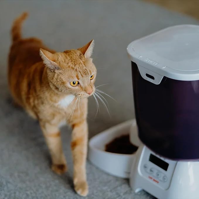 Cat Mate C3000 Automatic 3 Meal Pet Feeder with Digital Timer (347) - for Cats and Small Dogs, Suitable for Dry Pet Food, 6.61 lb Hopper, White