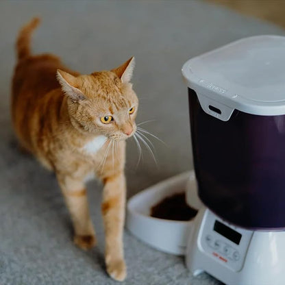 Cat Mate C3000 Automatic 3 Meal Pet Feeder with Digital Timer (347) - for Cats and Small Dogs, Suitable for Dry Pet Food, 6.61 lb Hopper, White