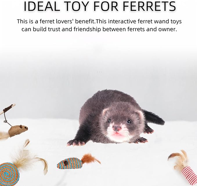 HAICHEN TEC 7 Pack Ferret Toys - Interactive Ferret Toys Assortments Feather Teaser Wand with Sisal Mice Balls and Bells Toys for Ferret Cat Kitten Puppy (7 Pack)