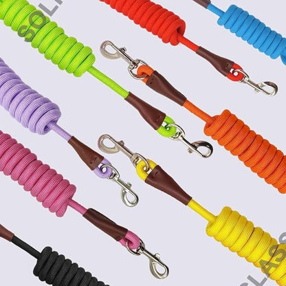 MayPaw 6/8 /10 FT Dog Leash, Classic Solid Colors, Strong Nylon Rope Dog Leash Reinforced with Leather Tailor Connection Heavy Duty Silver Clasp (Purple, 8ft*1/2")