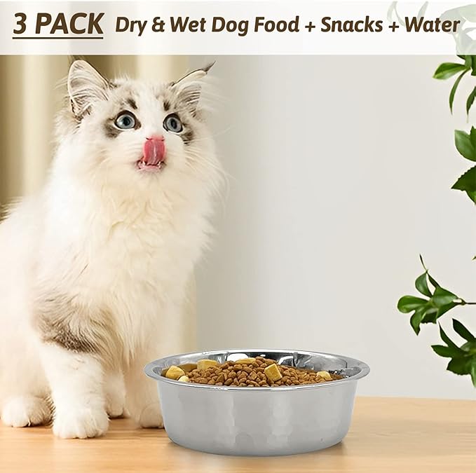 Fhiny 3 Pack Hammered Stainless Steel Cat Bowls, 2 Cups/16 Oz Premium Metal Puppy Feeder Bowl Set for Raised Feeding Station Basic Kitten Food & Water Dishes for Small & Medium Pets Dishwasher Safe