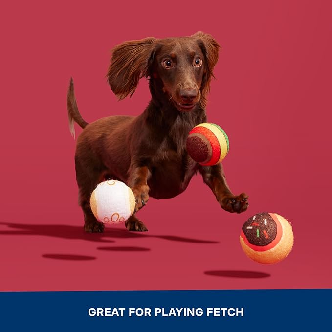 Barkbox Ballscoti Cookies Rubber Tennis Balls for Dogs & Puppies | Italian-Inspired Trio of Squeaky Fetch Balls for Bounce, Chase & Play | Durable, Engaging & Fun for Playful Pups