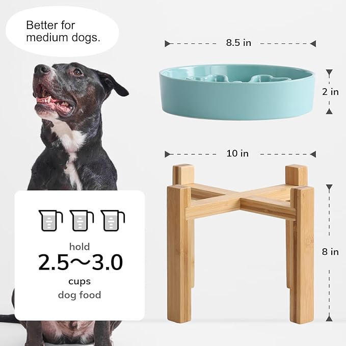 Slow Feeder,Ceramic-Slow Feeder Dog Bowls Elevated for Medium Breed,2.5 Cups Slow Feed Dog Bowl with Stand,Turquoise