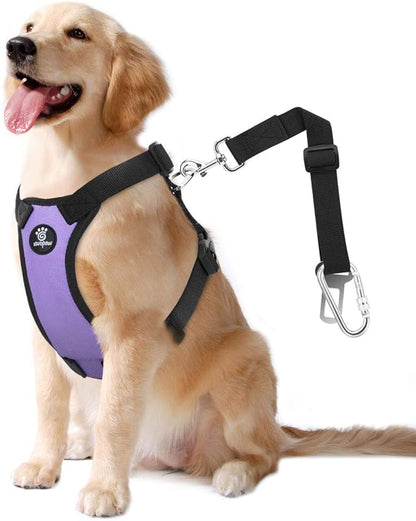 VavoPaw Dog Seat Belt, Safety Vest Dog Car Harness with Adjustable Buckle Dogs Seat-Belt for Vehicle Nylon Pet Safety Seats Belts Heavy Duty(XL, Purple)