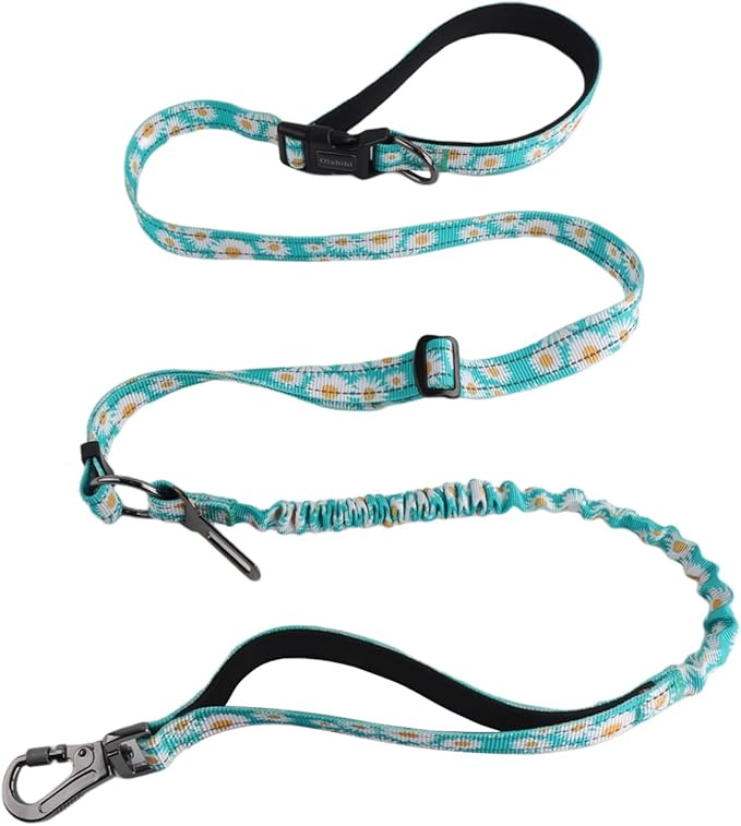 Hands Free Dog Leash, No Pull Bungee Dog Running Waist Leash, with Car Seat Belt, Reflective Stripes, Heavy Duty for Medium and Large Dogs. (Daisy Green, Large)