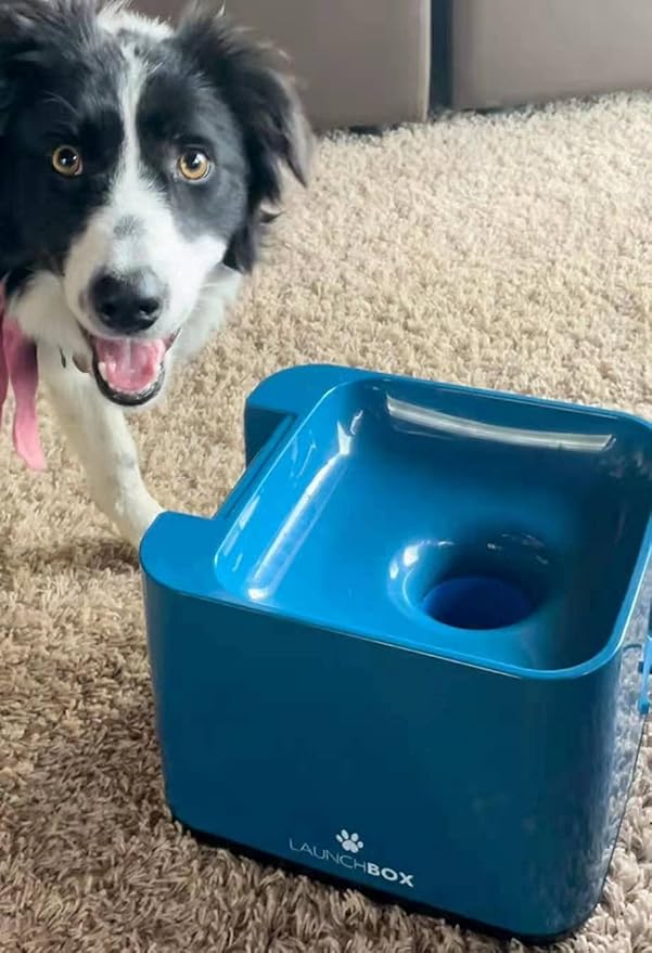 Big Dog Ball Launcher, Tennis Ball Thrower for Big Dogs and mid Sized Dogs