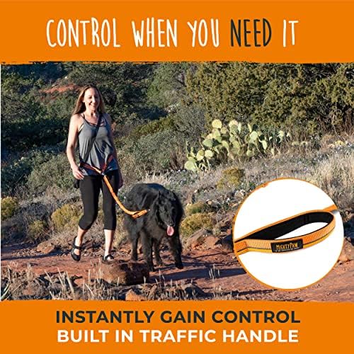 Mighty Paw Hands Free Dog Leash | Bungee Waist Leash for Dog Walking. Pet Running Hands Free Tether for Large, Medium & Small Breeds. Pet Waist Belt (36" - 48") Up to 150 lbs - Orange - Image 4