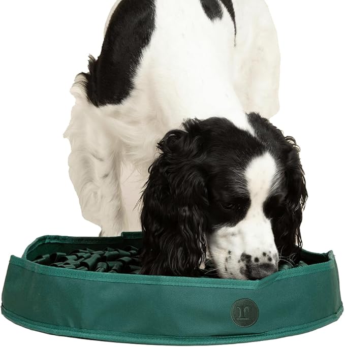 Reggie Stimulating Feeding Mat for Dogs, for Dog Calming Support, Reducing Speed Eating, and Mental Stimulation, 20" Large Diameter, Hunter Green