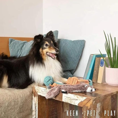 Birthday & Fun Box – Premium Dog Toy Gift Set for Puppies & Active Dogs