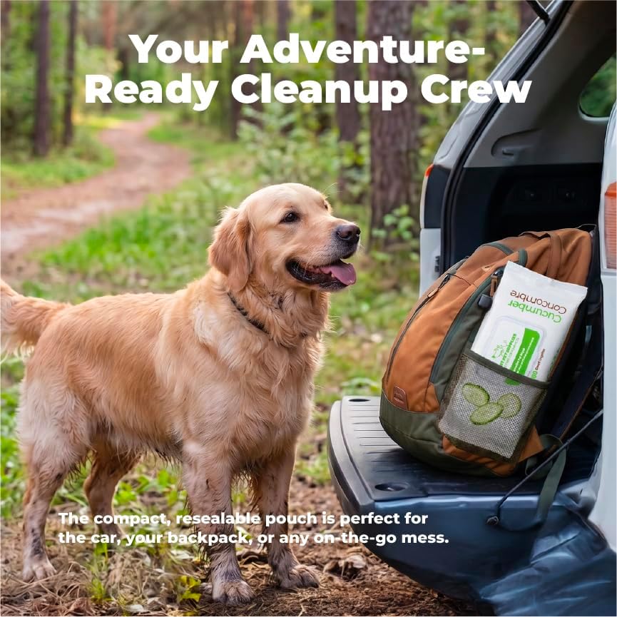 Best Pet Supplies Cleaning Dog Wipes - Calming Lavender, 100 Count - Image 4