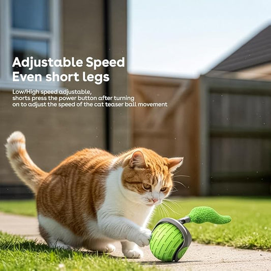 Interactive Cat Toys for Indoor Cats,The 3rd Generation Agile Moving Cat Ball with Elastic Mesh Tail,Automatic Kitten Toys for Bored Indoor Adult Cats,Motion Activated (Green)