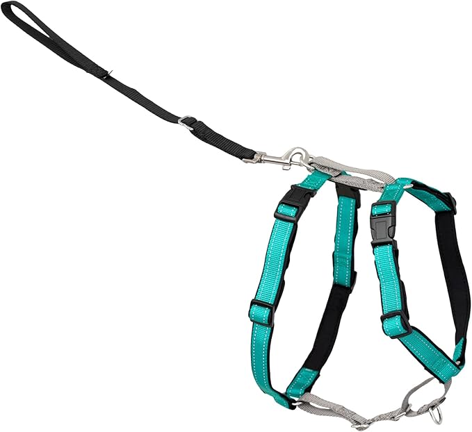 PetSafe 3-in-1 Harness - Comfortable Easy-Walk Dog Chest Harness with Front Leash Attachment to Reduce Pulling, Choking & Gagging - Dog Obedience Gear - Large- Teal