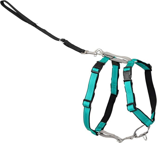 PetSafe 3-in-1 Harness - Comfortable Easy-Walk Dog Chest Harness with Front Leash Attachment to Reduce Pulling, Choking & Gagging - Dog Obedience Gear - Small - Teal