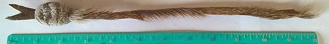 Wildcat Teaser Wand for Cats - Works with attachments Made for Wildcat and Popular Bird and Catcher Mouse Type Wands/Poles - Comes with Snake Attachment