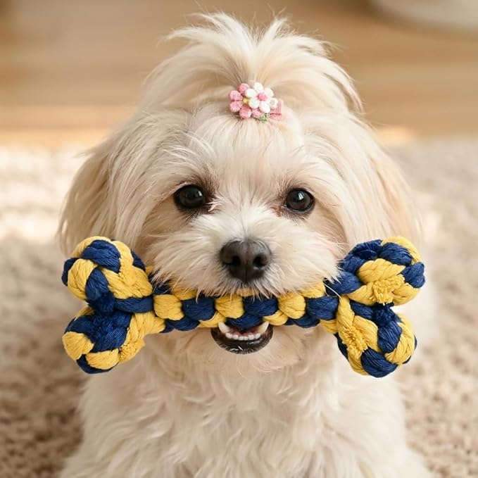 Dog Rope Toys Set with Bone-Shaped Chew Toy, Durable Cotton Rope Toys for Teething, Training, and Interactive Play for Small to Medium Dogs (Blue & Yellow)