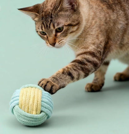 6Pcs Cat Ball Toy, Pet Chew Toy, Biting Ball for Cats, Cats Toys for Indoor, Interactive Cat Chew Toys for Kitty Kitten