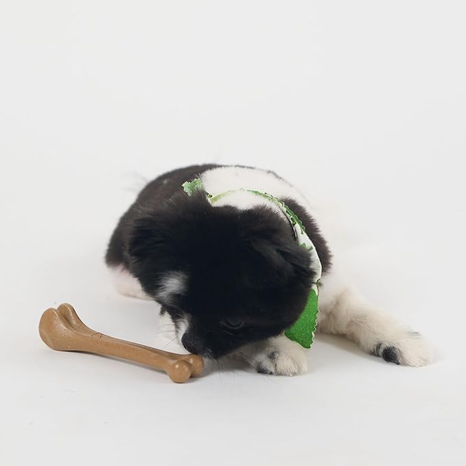 SPOT Bam-Bones Bone - Made with Strong Bamboo Fiber, Durable Long Lasting Dog Chew for Light to Moderate Chewers, Great Toy for Adult Dogs & Teething Puppies under 25lbs, 5.75in, Chicken Flavor