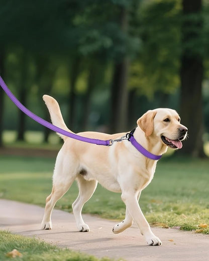 Joytale Dog Collars for Medium Dogs, Comfortable Double-Sided Reflective Nylon Collar for Night Safety, Adjustable Quick-Release for Active Pets, Purple, M (1" Width)