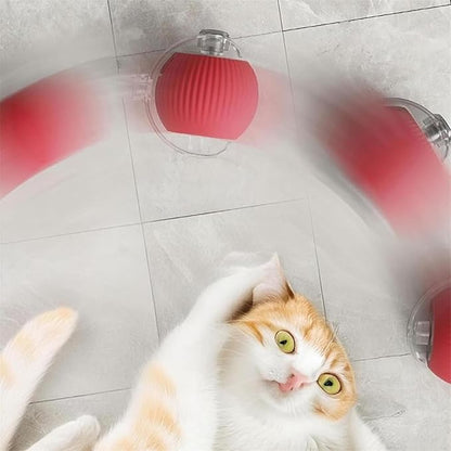 2PC Interactive Dog and Cat Ball Toy - Electric Rolling Toy with 360 Automatic Movement for Pets (Green+Green)