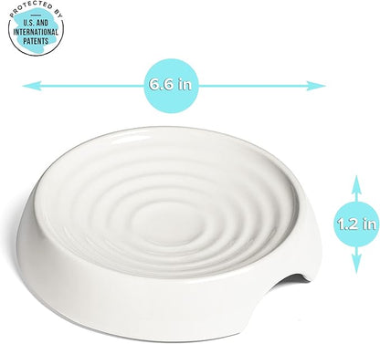 CatGuru Cat Bowls, Whisker Friendly Food Bowl for Indoor Cats, Reliefs Whisker Fatigue, Wide Kitten Dish, Non Slip Pet Dishes, Shallow Pet Plates (Ceramic, White, (Pack of 1))