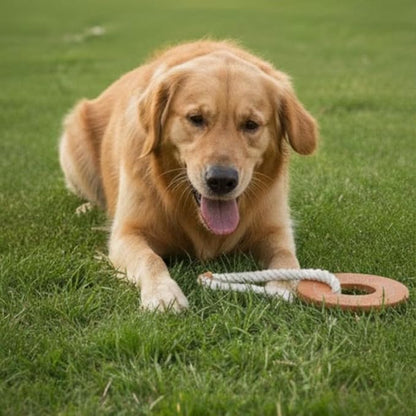 Natural Suede Leather and Rope Dog Chew Toy, Circle Shape Interactive Pet Toy for Medium to Large Dogs, Durable Design for Daily Chewing, Tug Play and Training Use