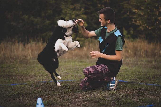 Dingo tug Toy for Dog, Natural Fabric, Sheepskin Toy, for Chasing Motivation Reward Agility, Bungee Handle, Black 98500