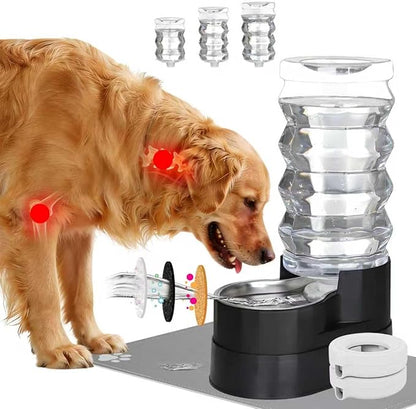 RIZZARI Automatic Dog Water Dispenser: Spill-Resistant 9L Black Gravity Feeder-Removes Odors -Softens Water - Supports Elderly Dogs’ Spine Health - Includes 2 Extra Filters & 2 Bottle Caps