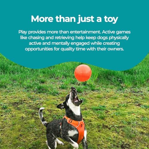 Jolly Pets Dog 6-Inch Bounce-n-Play, Orange, 6 Inches/Medium - Image 4