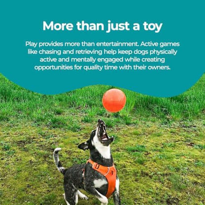 Jolly Pets Dog 6-Inch Bounce-n-Play, Orange, 6 Inches/Medium - Image 4