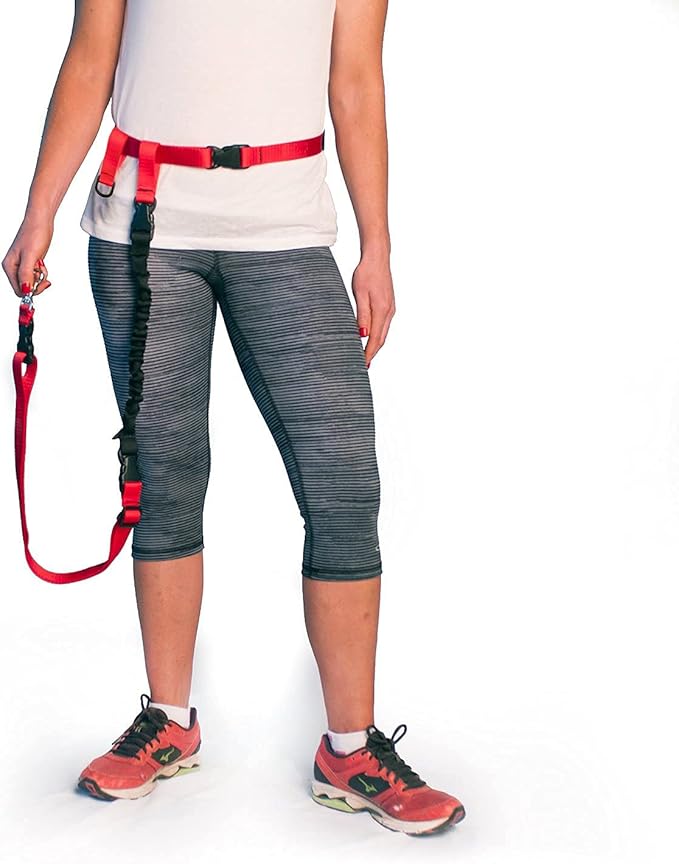 The Buddy System Accessories for Our Dog Leashes Made in USA (Shock Absorber, Regular Dog Black)