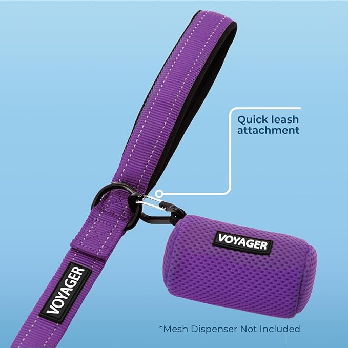 Best Pet Supplies Voyager Reflective Dog Leash or Collar with Neoprene Handle, for Small, Medium, and Large Breed Puppies, Cute and Heavy Duty for Walking, Running and Training - Purple (Leash), M