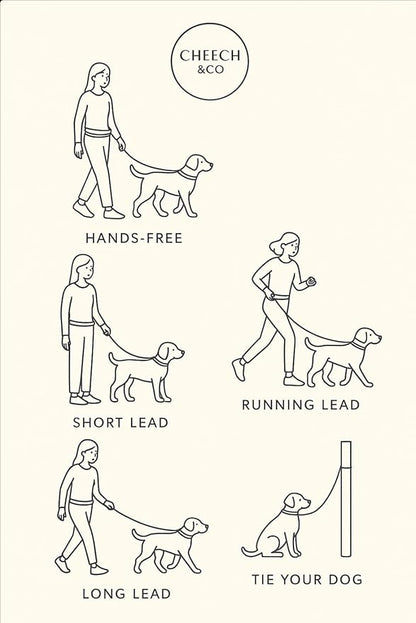 Cheech&Co Hands Free Dog Leash with Poop Bag Holder - for Walking, Hiking, Jogging & Running Small/Medium/Large Dogs (Adjustable 4.3–8.6 ft Light Blue)