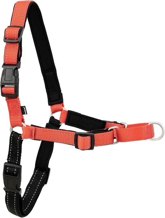 PetSafe Deluxe Easy Walk Harness - Trainer-Trusted Dog Chest Harness with Breathable Martingale Loop Design - Helps Stop Pulling with No Choking & Gagging - Medium/Large - Rose