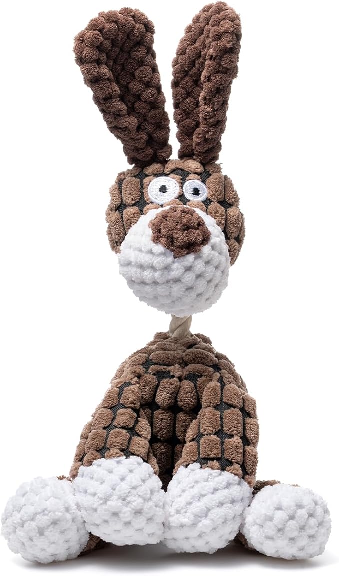 Squeaky Plush Dog Toy, Puppy Chew Toy for Teething, Tough Small Dog Toy to Keep Them Busy