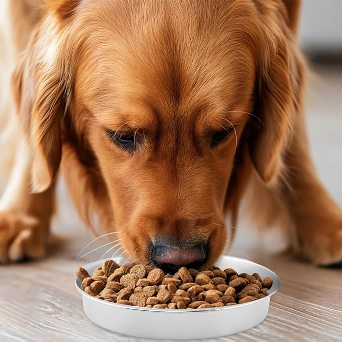 Slow Feeder Dog Bowls with Measuring Spoon, Stainless Steel Slow Feed Pet Bowl with Non-Slip Mat, Metal Feeder Dog Bowl for Small, Medium, Large Dogs to Slows Down Eating