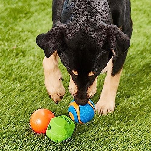 Chuckit Gen 1 Fetch Pack Dog Balls - Interactive Dog Toys, High-Bounce Fetch Ball, Floating Ultra and Rugged Balls, Durable - Size Medium, 2.5-inch Diameter, Set of 3 - Image 2