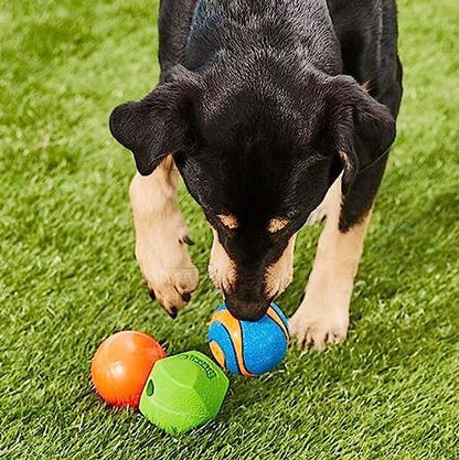 Chuckit Gen 1 Fetch Pack Dog Balls - Interactive Dog Toys, High-Bounce Fetch Ball, Floating Ultra and Rugged Balls, Durable - Size Medium, 2.5-inch Diameter, Set of 3 - Image 2