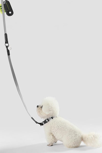 WLK1004N-5SET Luna Small 8FT Adjustable 6-in-1 Waterproof Hands-Free Leash and Collar with LED Flashlight, Bag Dispenser, and Poop Bag Holder, Martini