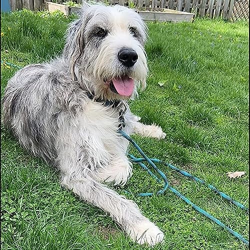 BTINESFUL 8/12/20/30/50/75ft Dog Tie Out Long Tether Rope Dog Lead for Yard - Image 4