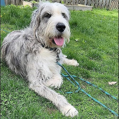 BTINESFUL 8/12/20/30/50/75ft Dog Tie Out Long Tether Rope Dog Lead for Yard - Image 4