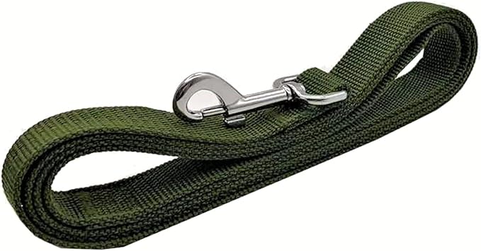 TAIAN 4FT/5FT/6FT Strong Dog Leash, Nylon Dog Leashes for Small Medium Large Dogs (3/4 in x 5 ft, Green)