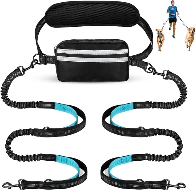 Hands Free Dog Leash with Pouch, Dual Attachment for Two Dogs, Retractable Bungee with Double Padded Handles, Waist-Mounted for Running,Walking, Jogging Friendly Dog Accessories (Black/Mint Green)