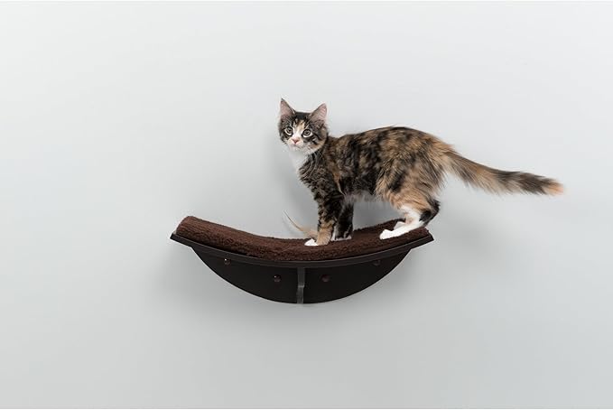 Trixie Lea Wall Mount Perch XXL, Cat Shelf with Soft Plush Cushion Bed, Ideal for Large Cats, 11 x 19-inches, Espresso Brown (44580)