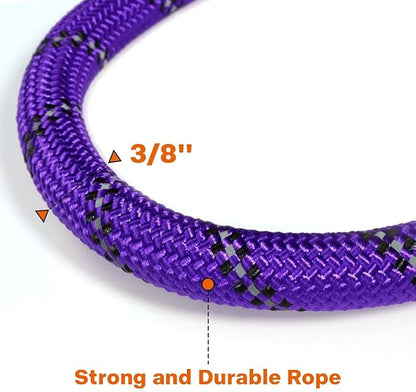 Taglory Rope Dog Leash 5 FT with Comfortable Padded Handle, Highly Reflective Threads Leash and Anti-Tangle Clip for Walking Small Dogs, 3/8 inch, Purple