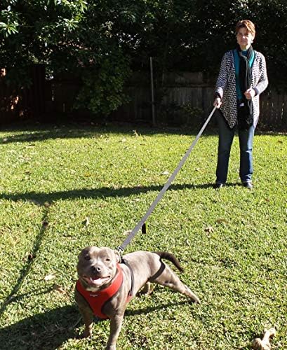 Primal Pet Gear Dog Leash 6ft Long,Traffic Padded Two Handle,Heavy Duty,Reflective Double Handles Lead for Control Safety Training,Leashes for Large Dogs or Medium Dogs,Dual Handles Leads(Black) - Image 5