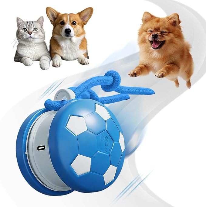 Interactive Dog Toys, 2026 Upgraded Motion-Activated Electric Automatic Rolling Ball with Rope, Random Path Movement, Rechargeable Boredom Relief Toy for Small Medium Large Dogs (Blue)